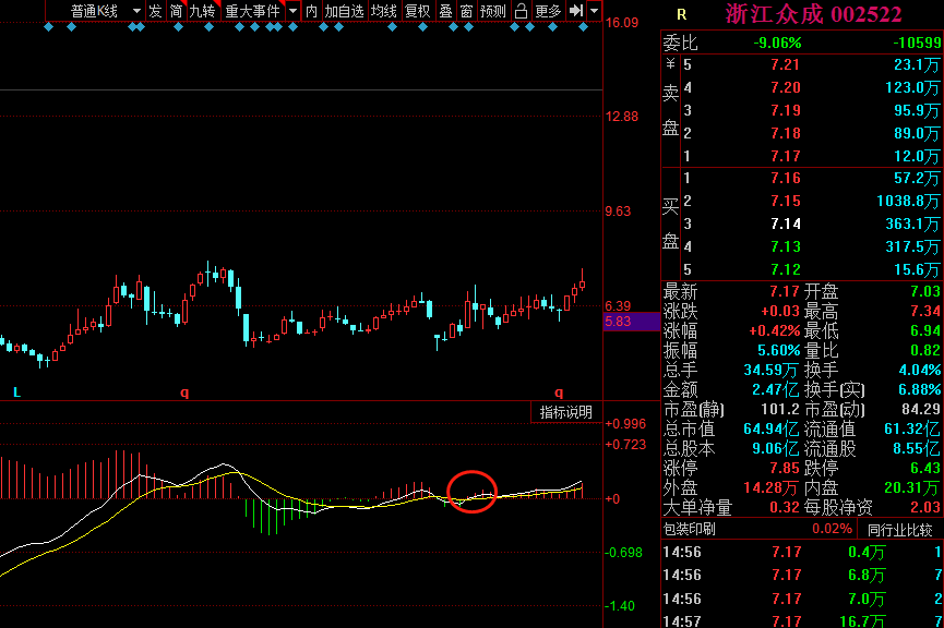 浙江众成日线 macd 金叉